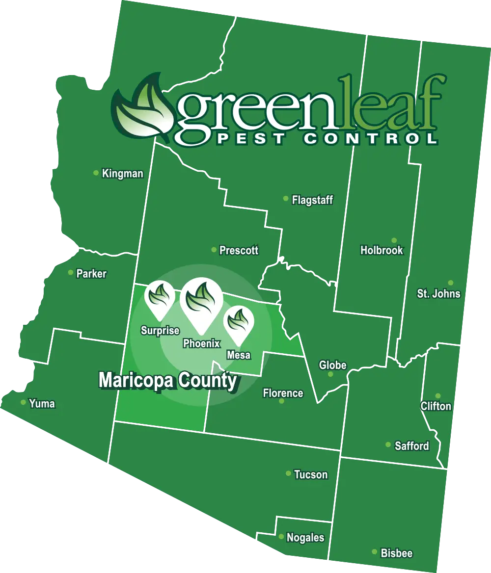 GreenLeaf Pest Control Service Area Map Phoenix, Arizona