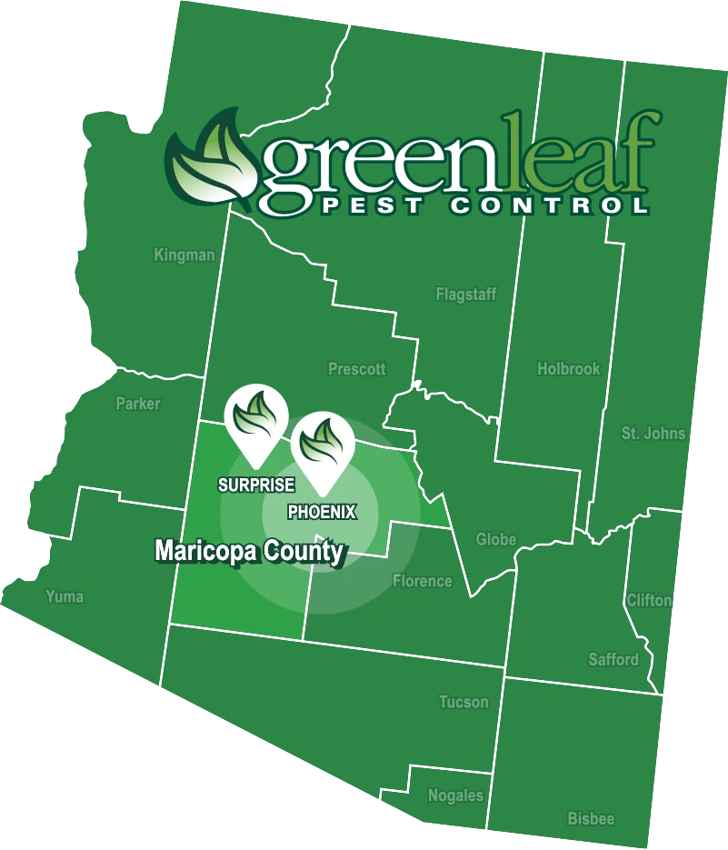 GreenLeaf Pest Control Service Area Phoenix Arizona